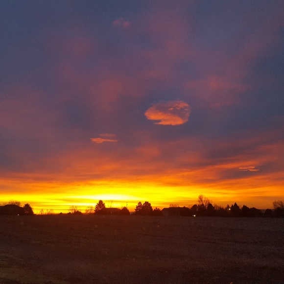 🌼2+ items save 15%🌼 - Picture 1 of 1